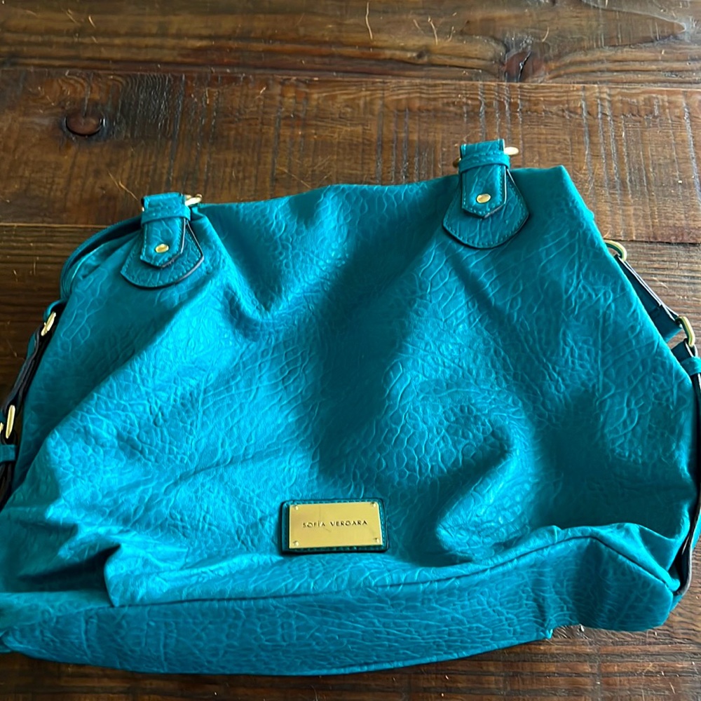 Sofia Vergara bag